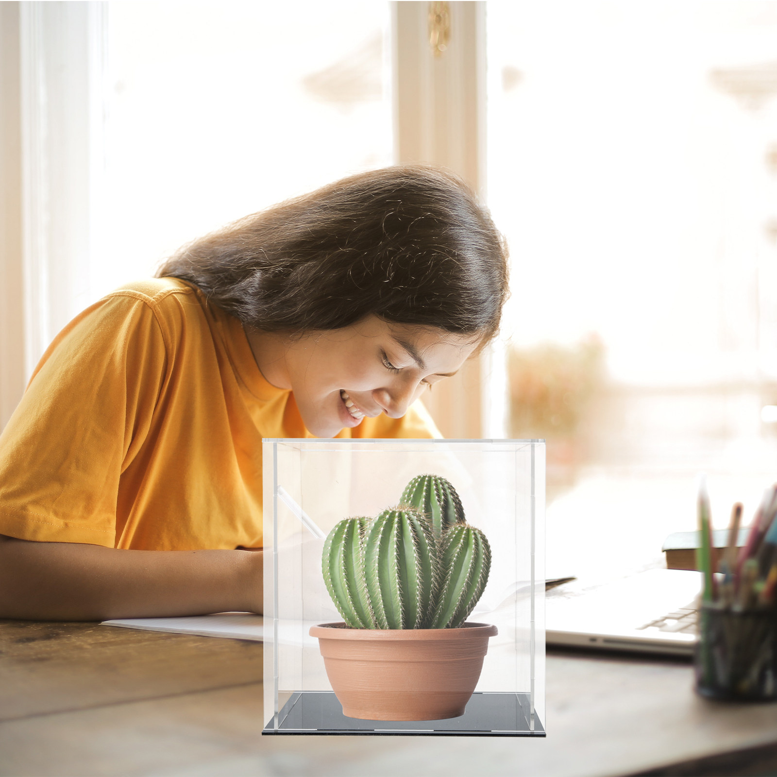 Acrylic Transparent Display Ca - Display Case Acrylic ulasan dan harga