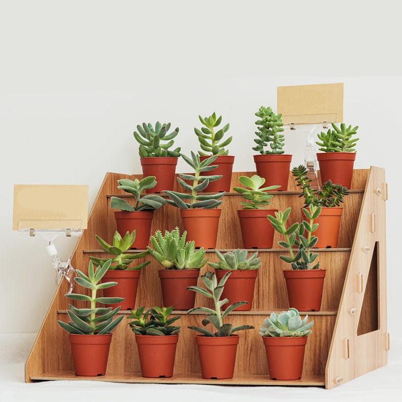 Wooden Display Rack, Farm Mark - Pop Display Shelf ulasan dan harga
