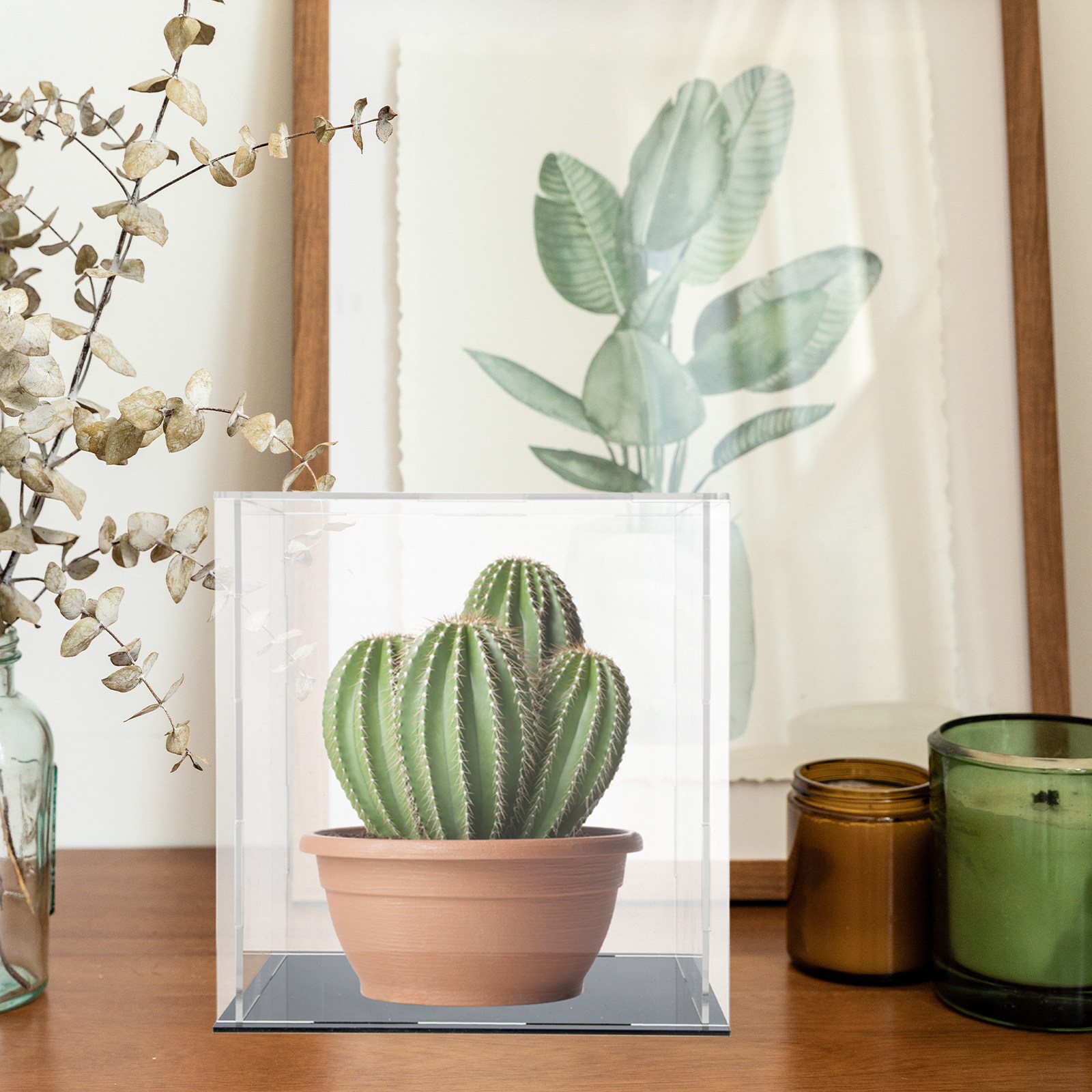 Heavy-Duty Acrylic Display Box - Display Case Acrylic ulasan dan harga